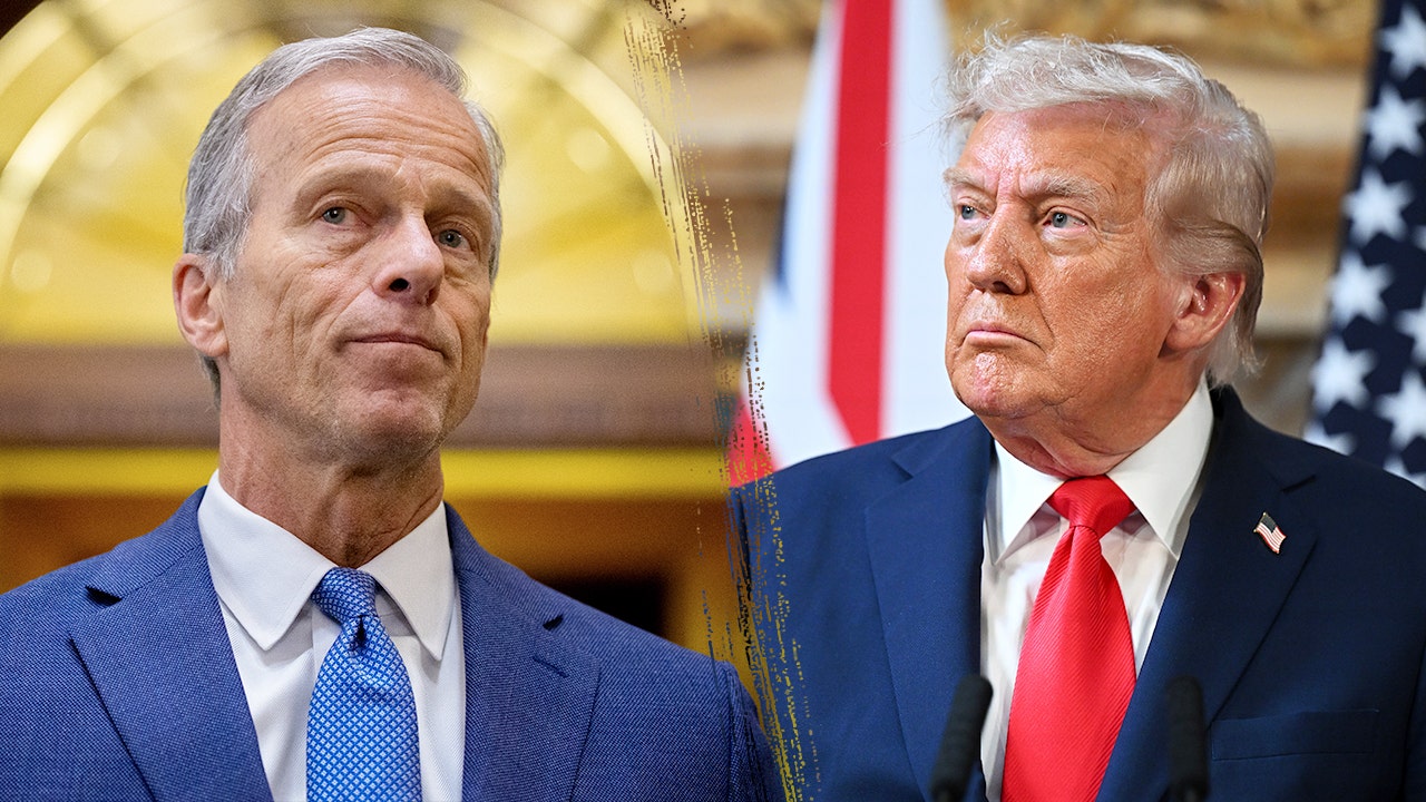 Trump presses Thune to ‘get something done’ on stalled nominees Trump presses Thune to ‘get something done’ on stalled nominees