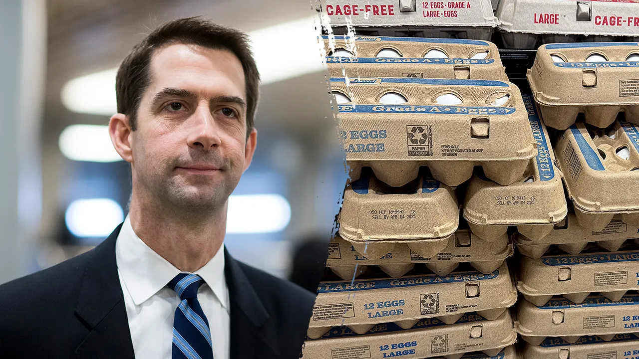 Cotton moves to loosen egg rules in bid to boost supply, ease affordability crunch Cotton moves to loosen egg rules in bid to boost supply, ease affordability crunch