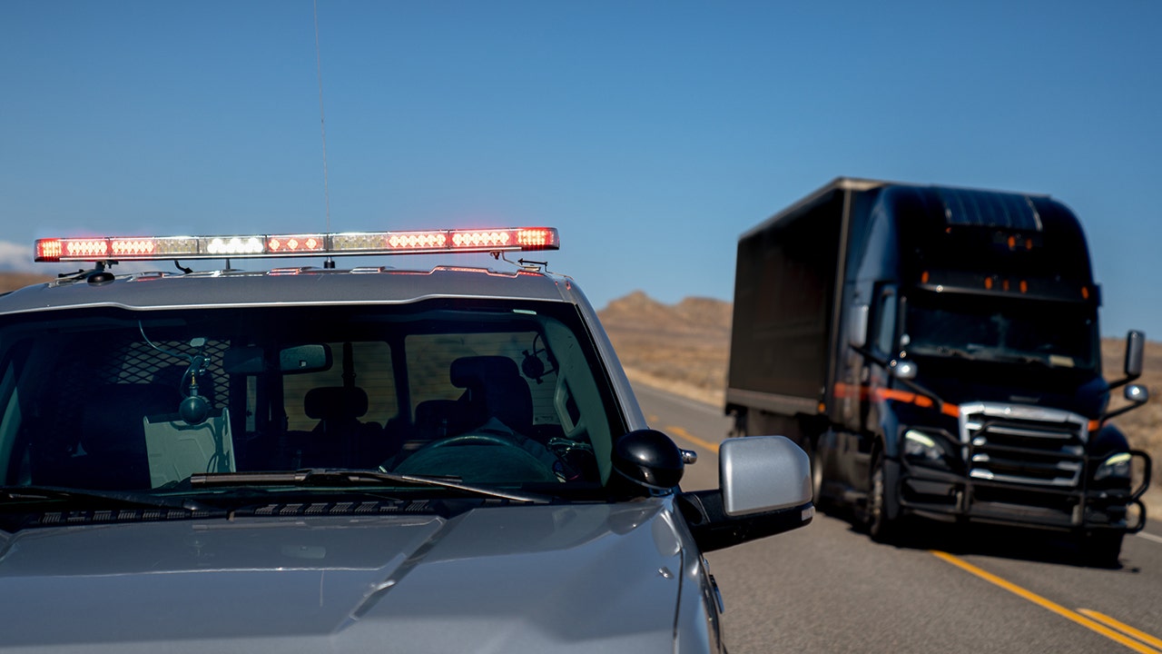 Cybercriminals Hijack Holiday Deliveries: A Growing Threat Amidst Festivity
