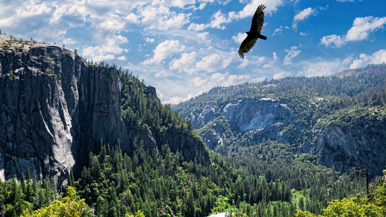 تقوم المتنزهات الوطنية بإزالة البضائع غير المتوافقة بموجب أمر ترامب