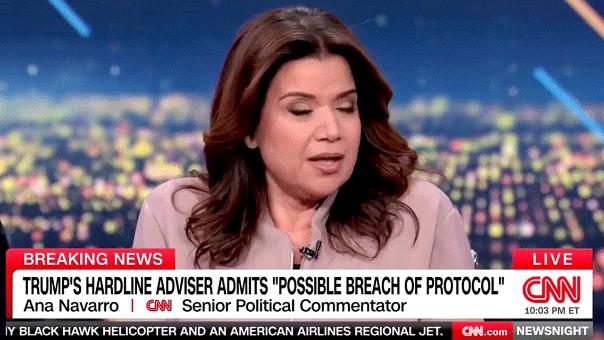 'The View' co-host Ana Navarro describes Alex Pretti as 'perfect guy' who'd you want to date your daughter