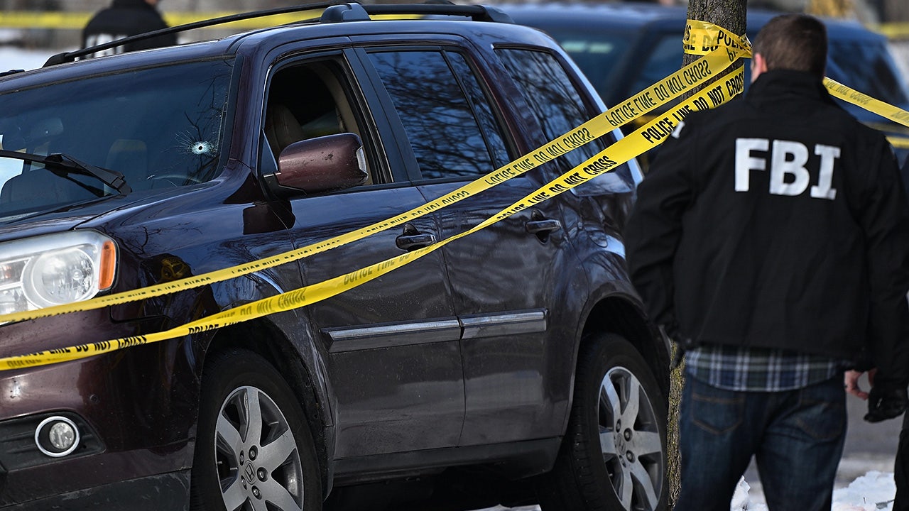 Renee Nicole Good killed by ICE agent in Minneapolis shooting