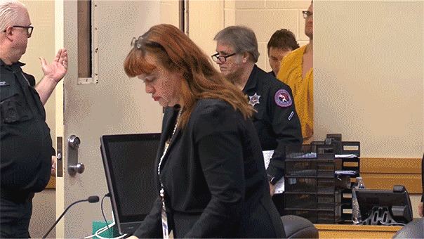 Surgeon ex-husband accused in Ohio dentist double murder reveals plea in court