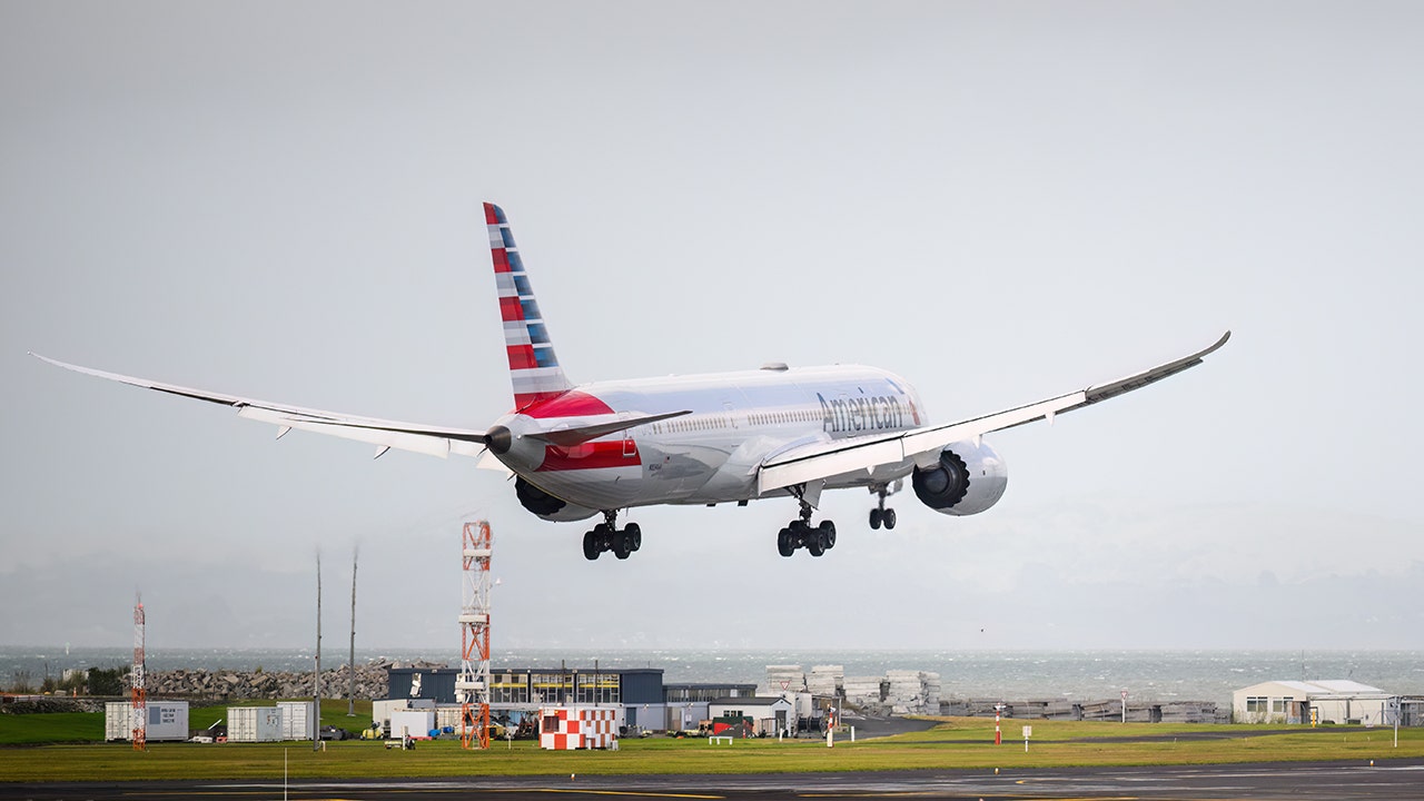 As it prepared to land, an American Airlines flight (actual flight not shown here) reported seeing an unusual blue light. (iStock)