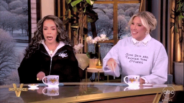 'The View' panel erupts as guest defends Trump against racism claims