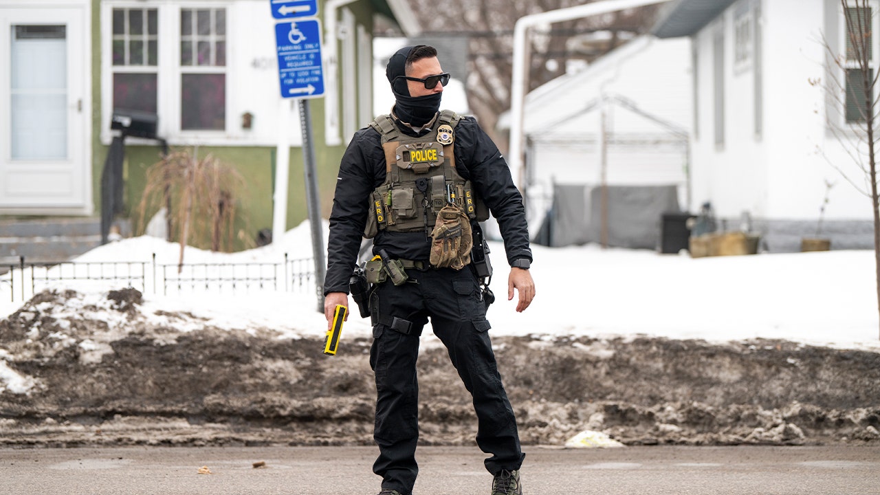 NPR host compares masked Guthrie suspect to 'federal immigration agent'