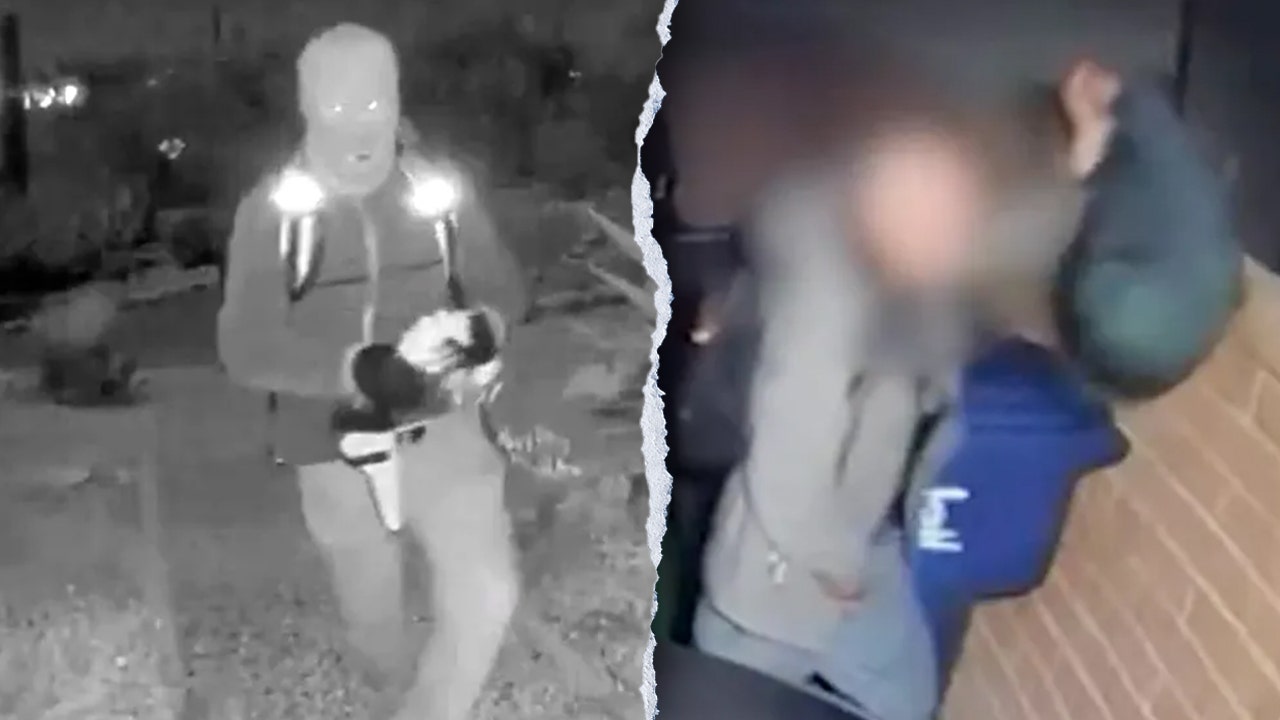 Former FBI agent urges caution as surveillance video of man in Guthrie area circulates web