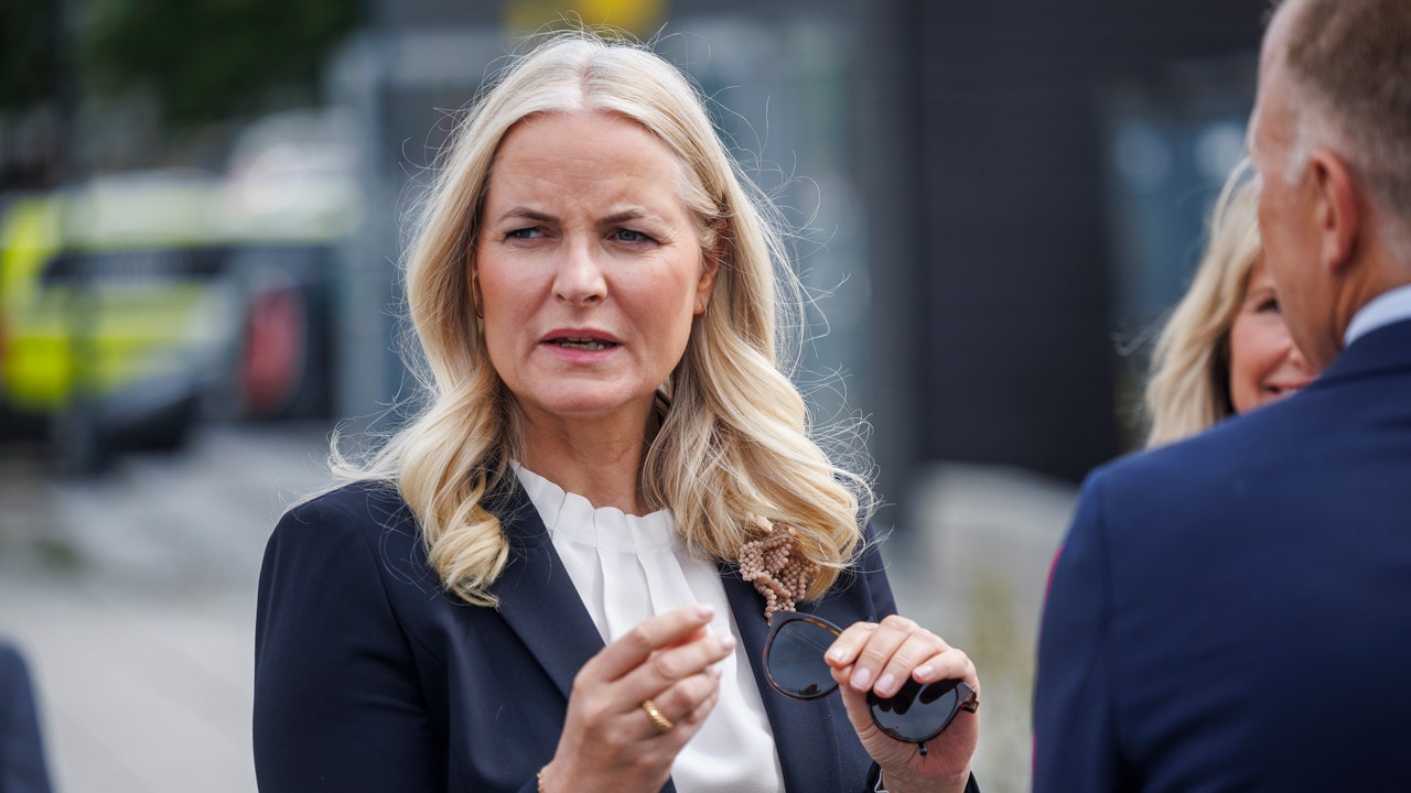 Crown Princess Mette-Marit's Epstein ties 'unraveling' after document dump, experts warn