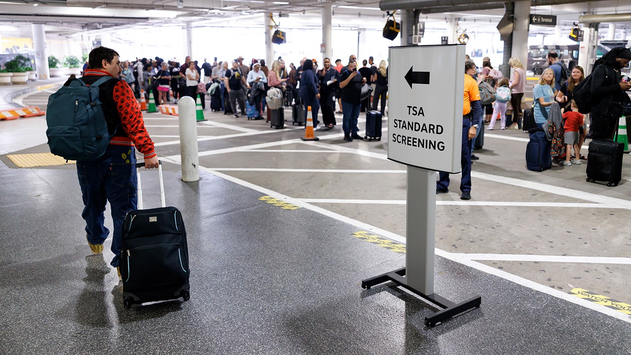 Why some US airports are dodging TSA shutdown chaos while others grind to a halt