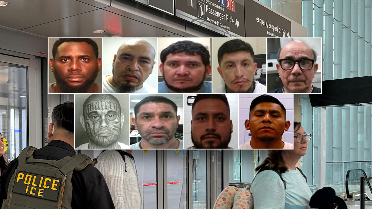 Homeland Security vows deportation operations ‘will continue’ as ICE agents help TSA, agency defunded