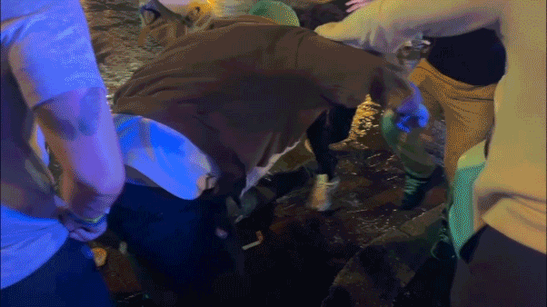 Spring breakers caught on camera viciously attacking man in overnight street brawl
