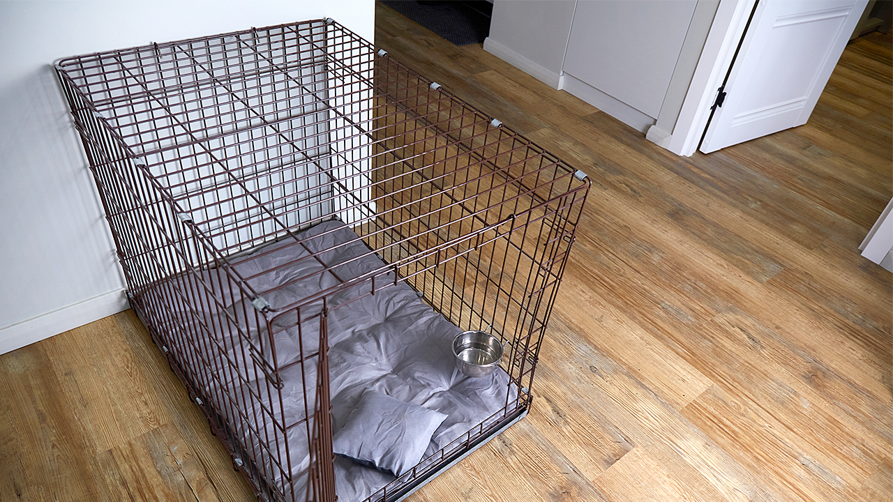 Two arrested in NC after police find 13-year-old kept in dog kennel, 5 other kids in 'filthy' home