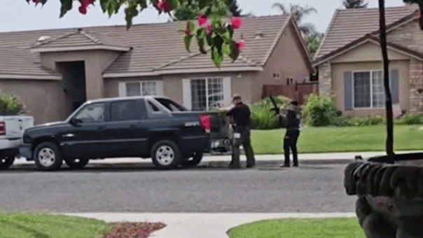 WATCH: Eviction standoff turns war zone as gunman kills deputy in ambush, gets run over by armored vehicle