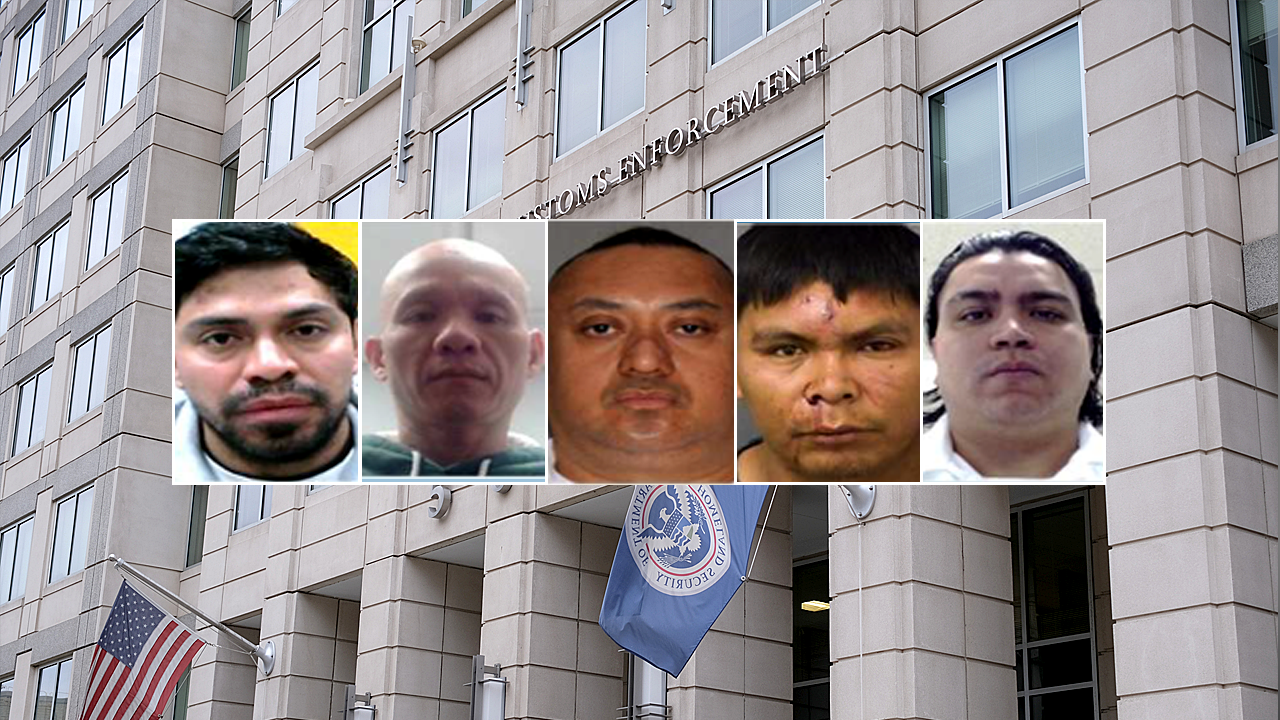 تشير تقارير إدارة الهجرة والجمارك (ICE) إلى أن المزيد من اعتقالات المهاجرين الإجراميين قد تميزت بمرور عام على برنامج دعم الضحايا