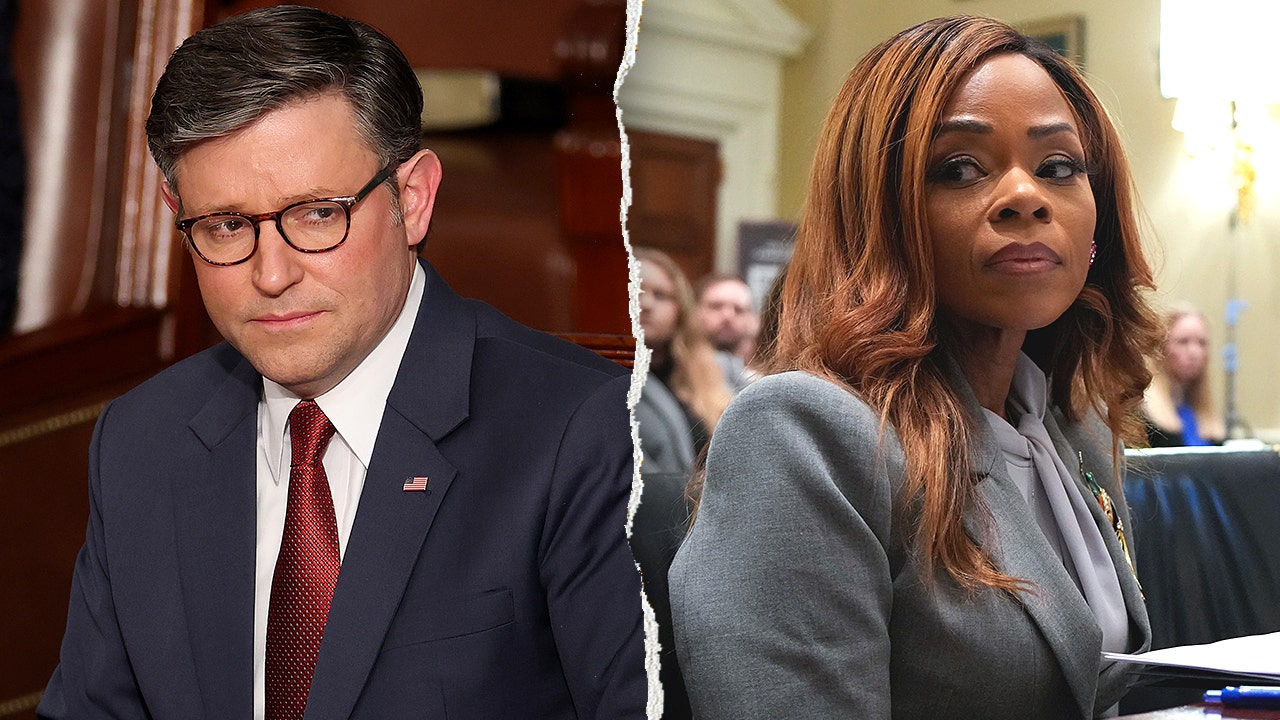 Mike Johnson says he supports expelling Sheila Cherfilus-McCormick over dozens of ethics violations Mike Johnson says he supports expelling Sheila Cherfilus-McCormick over dozens of ethics violations