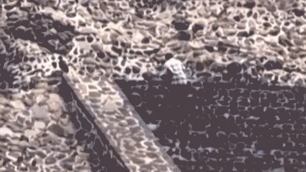 Americans among injured at shooting caught on video at tourist hot spot in Mexico