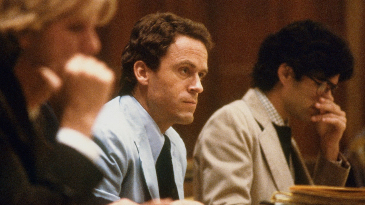 Ted Bundy could have more undiscovered victims after DNA links him to murder of chief's daughter: detective