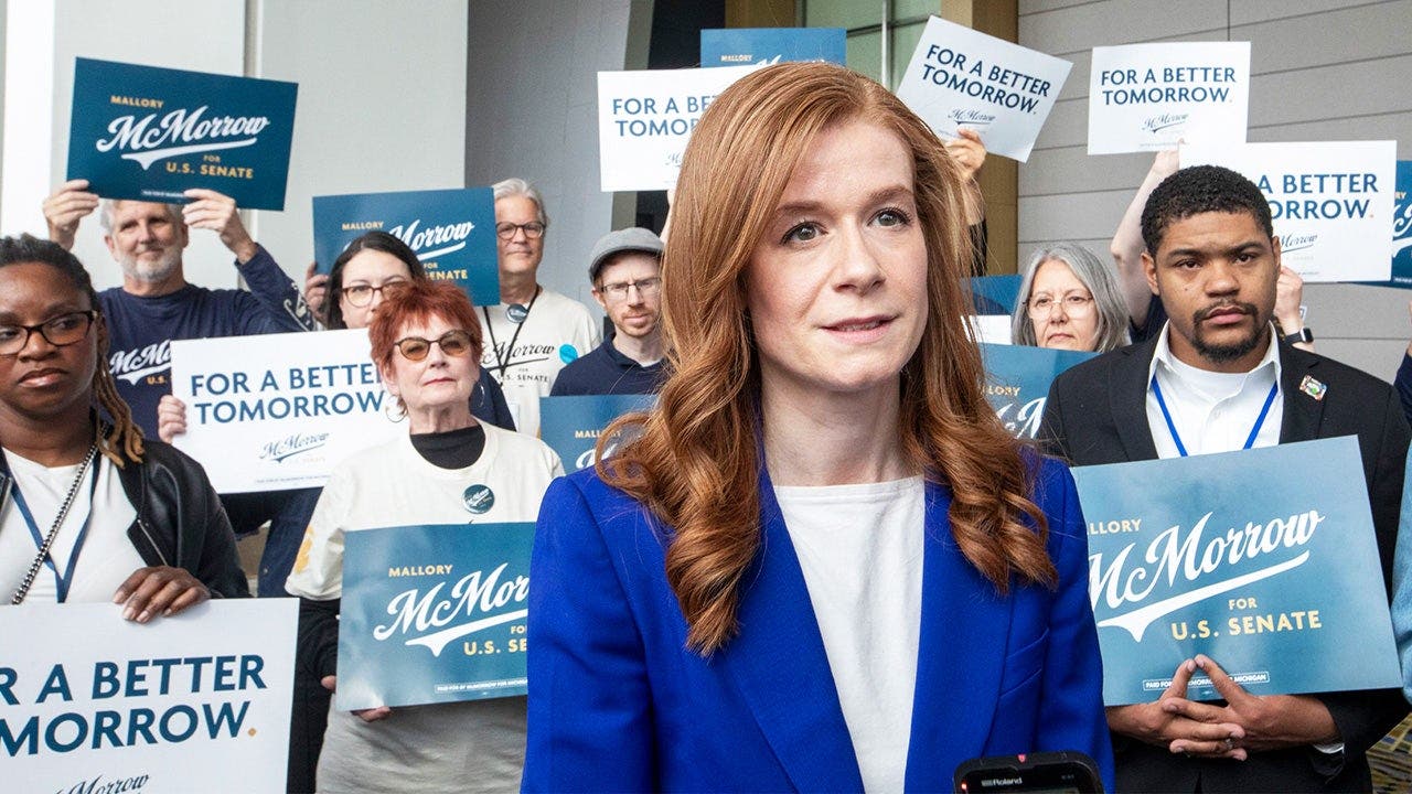 Dem Senate candidate makes stunning admission about antisemitism in her party: 'Dangerous'