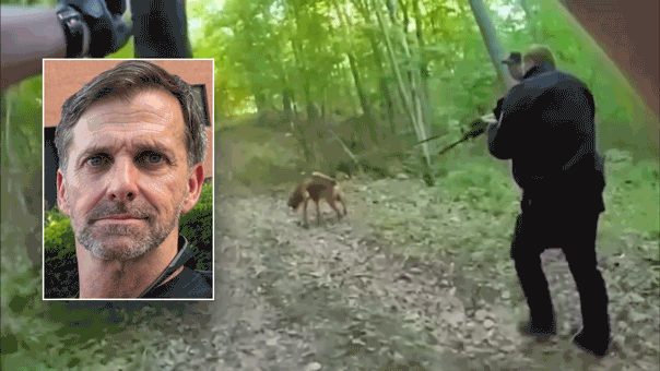CAUGHT ON VIDEO: Bloodhound tracks armed Special Forces fugitive into woods after allegedly shooting wife