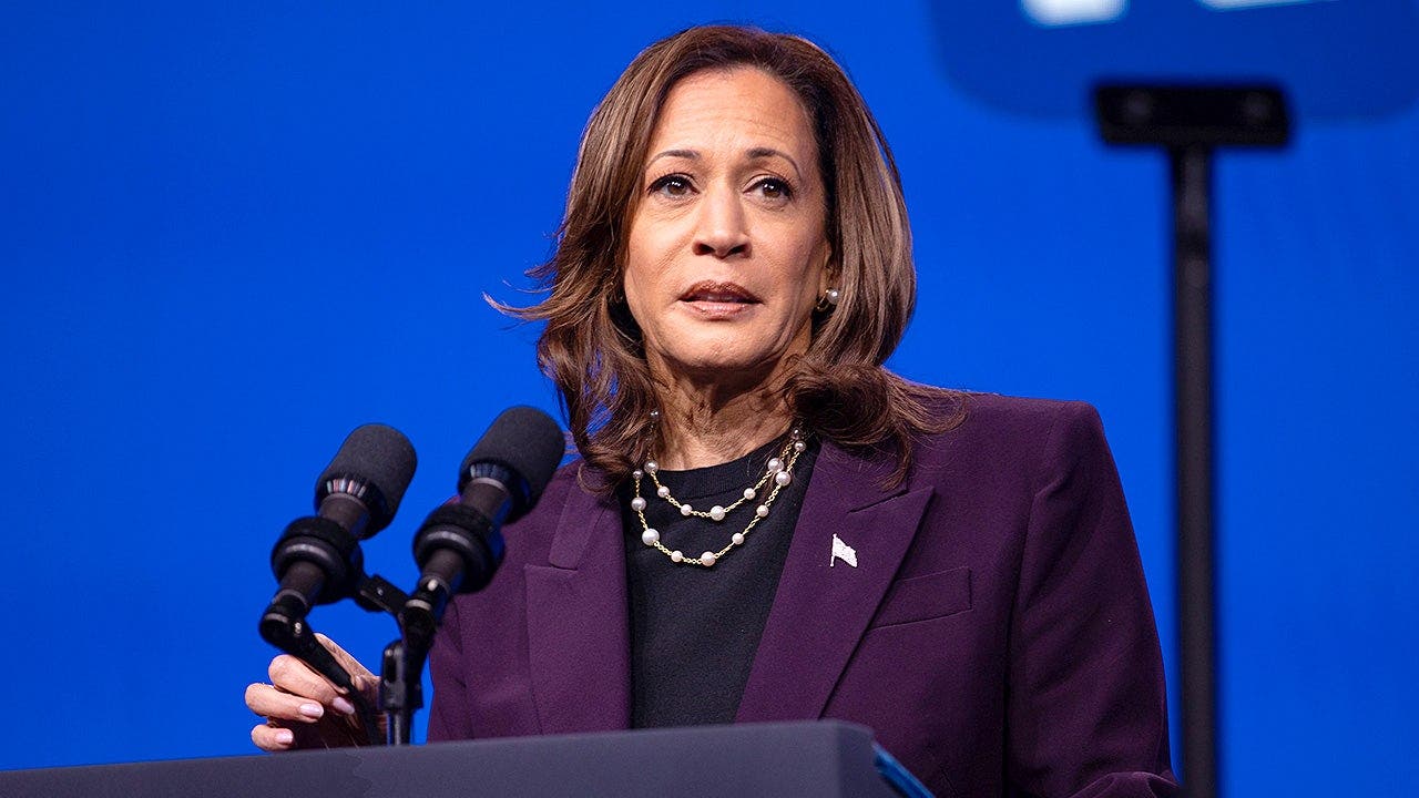 Former Dem megadonor blasts 2024 autopsy as waste of time, says reasons for loss are obvious Former Dem megadonor blasts 2024 autopsy as waste of time, says reasons for loss are obvious