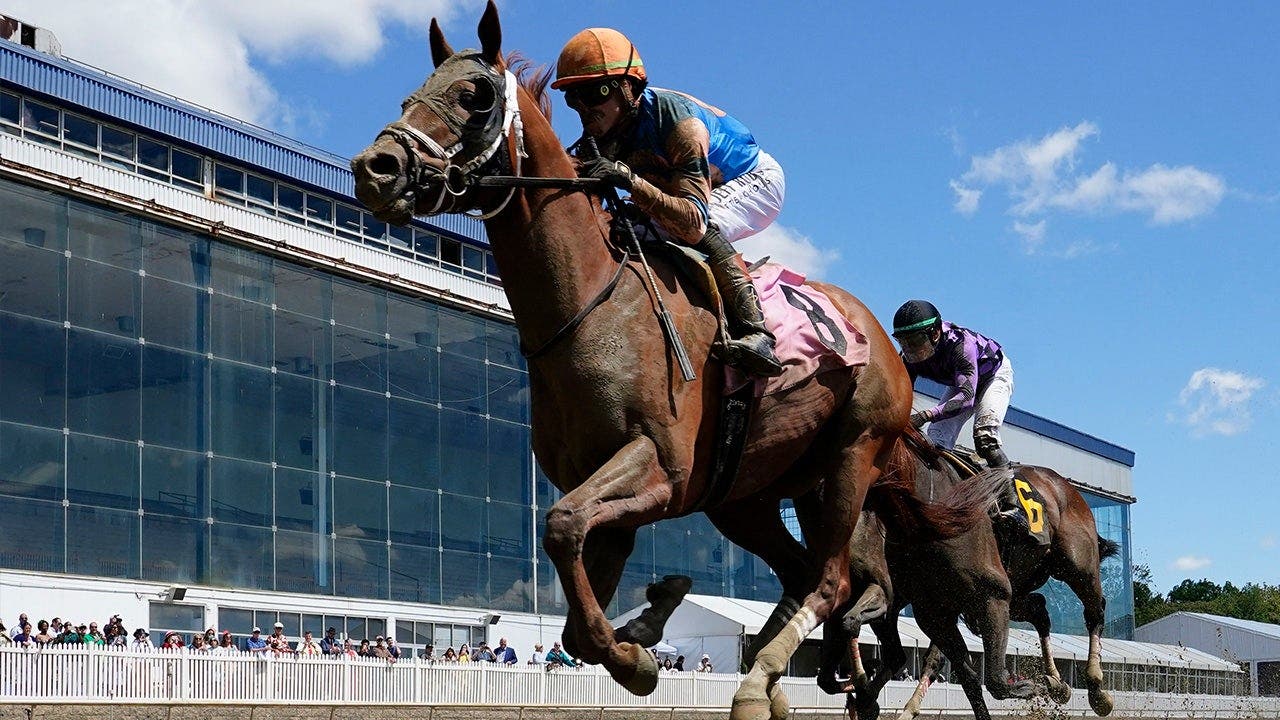 Horse dies after crossing the finish line in his first career race in tragic start to Preakness weekend