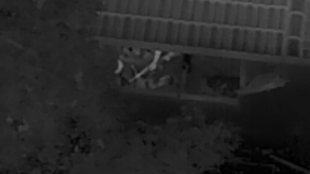 Video shows police take down cop killer with armored vehicle after gunman turned neighborhood into war zone