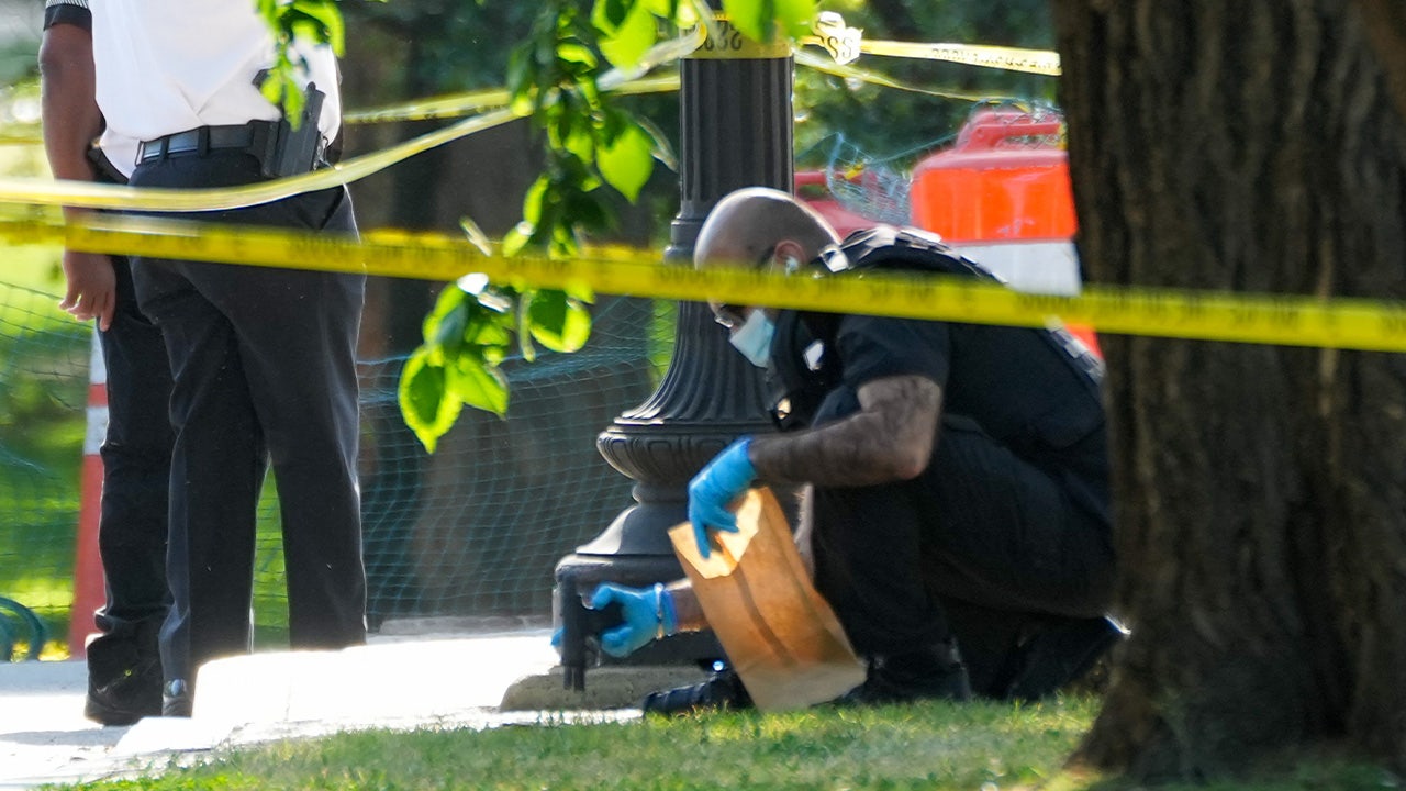 Man allegedly opens fire on Secret Service near White House as child injured in chaos