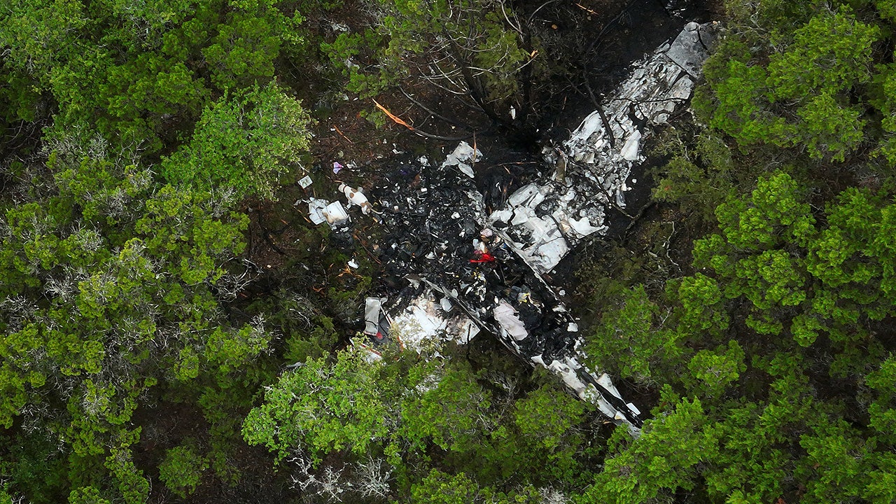 Plane crash in Wimberley, Texas, kills 5 pickleball players at tournament