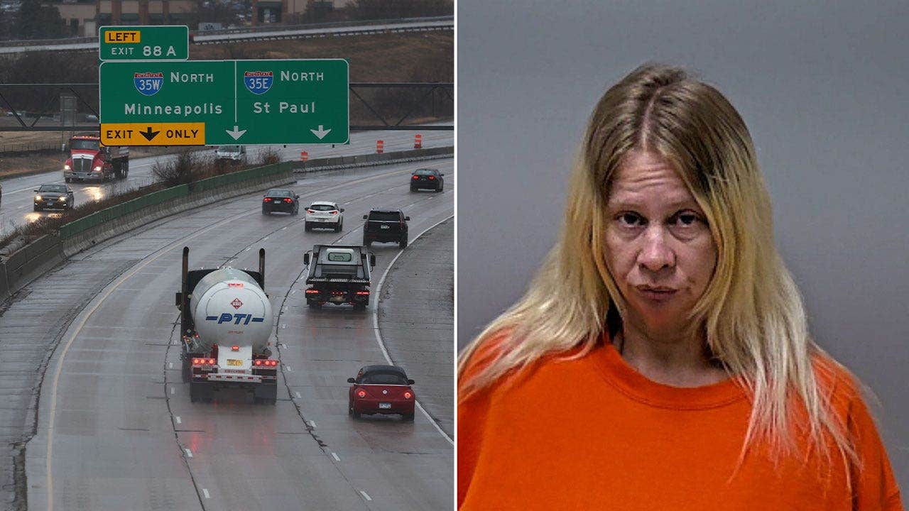 Driver accused of killing 82-year-old in head-on crash claims her dog seized the steering wheel beforehand