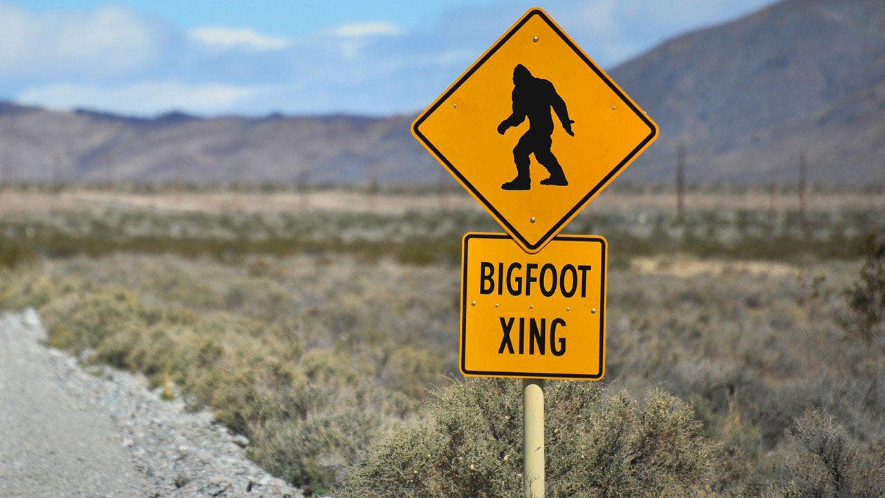 Bigfoot hunter suggests there’s a conspiracy after Cornell University denies conducting DNA tests on remains Bigfoot hunter suggests there’s a conspiracy after Cornell University denies conducting DNA tests on remains