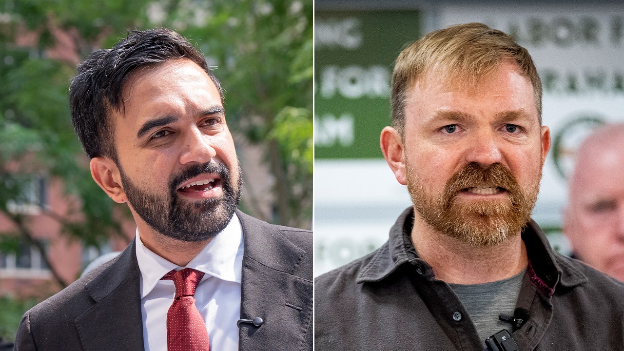 Democrats’ new-wave socialists are winning primaries but face a harsh reality in general elections Democrats’ new-wave socialists are winning primaries but face a harsh reality in general elections