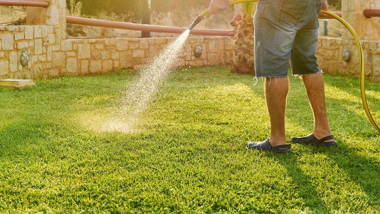 You're not getting away with watering your grass with your 'crank' out on Sheriff Grady Judd's watch