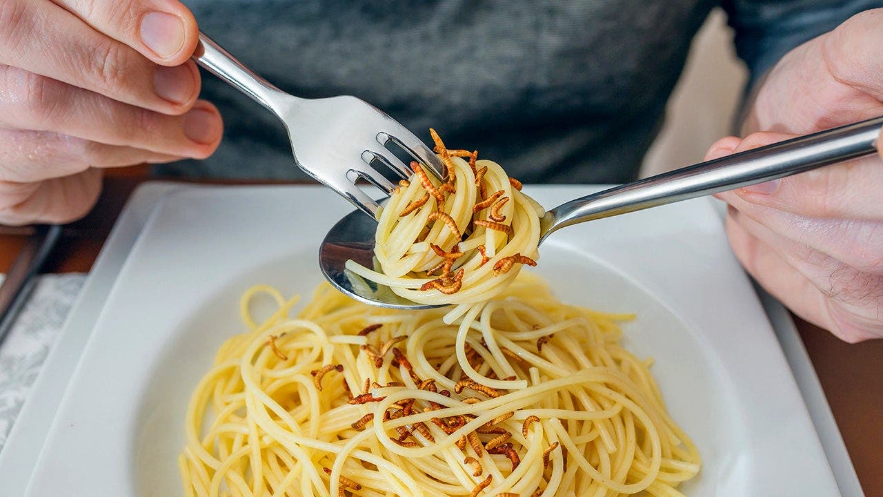 The study found that the majority of participants preferred insect proteins to grain substitutes The study found that the majority of participants preferred insect proteins to grain substitutes