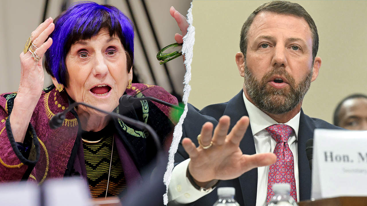 WATCH: Hearing derails as purple-haired Dem points finger, screams at chair to put DHS chief 'in his place'