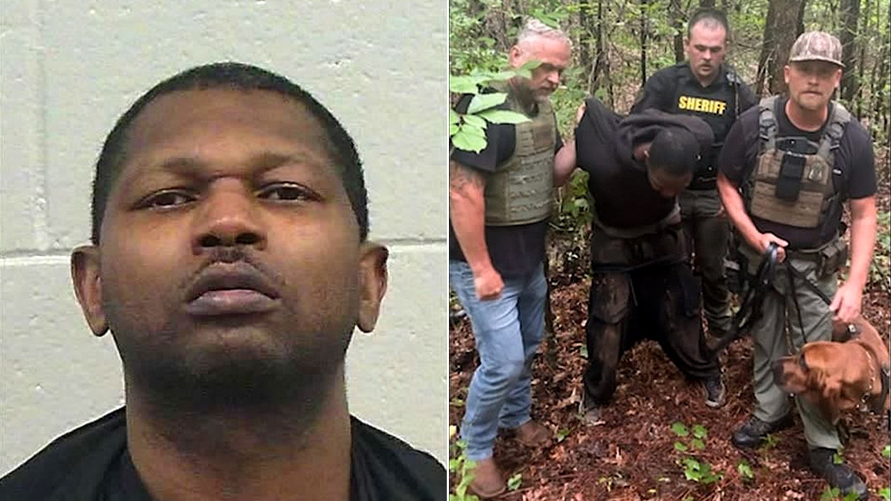Bloodhound K-9 unit helps bring Georgia manhunt to end with arrest of suspect accused of shooting woman Bloodhound K-9 unit helps bring Georgia manhunt to end with arrest of suspect accused of shooting woman