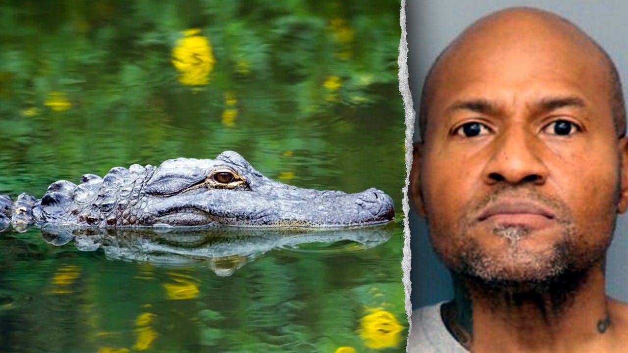 Officers in Maryland respond to reported assault, discover guns and unusual group of animals Officers in Maryland respond to reported assault, discover guns and unusual group of animals