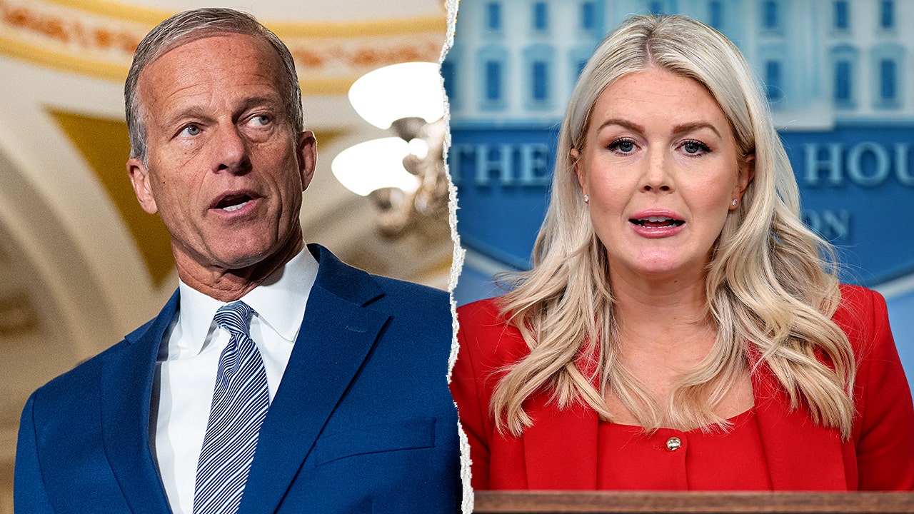 Trump’s patience ‘running out’ as Thune fires back over stalled election security bill Trump’s patience ‘running out’ as Thune fires back over stalled election security bill