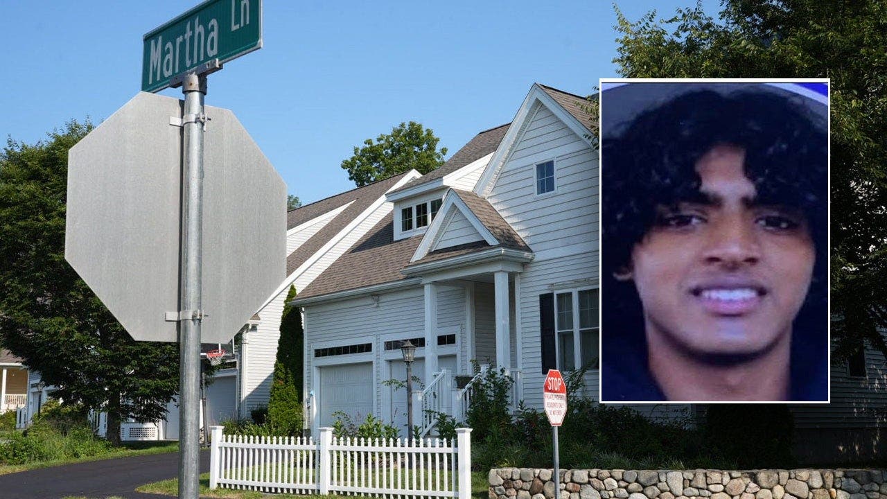 Arjun Aravind denied bail as prosecutors reveal alleged ChatGPT kill searches