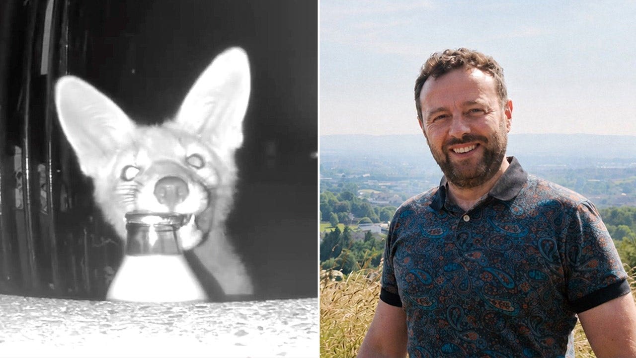 Glasgow homeowner uses security camera to catch fox stealing milk Glasgow homeowner uses security camera to catch fox stealing milk