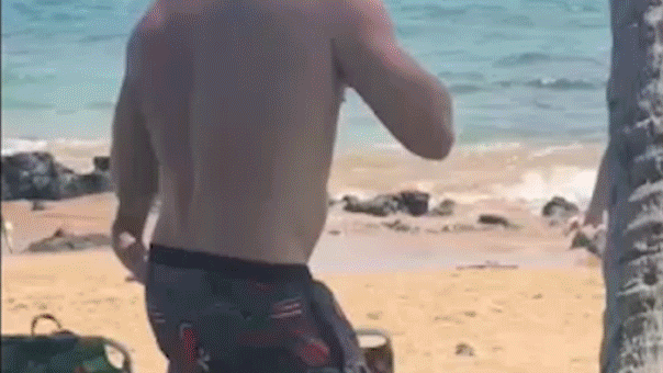 Hawaii Democratic House candidate faces felony threat charges after beach fight caught on video