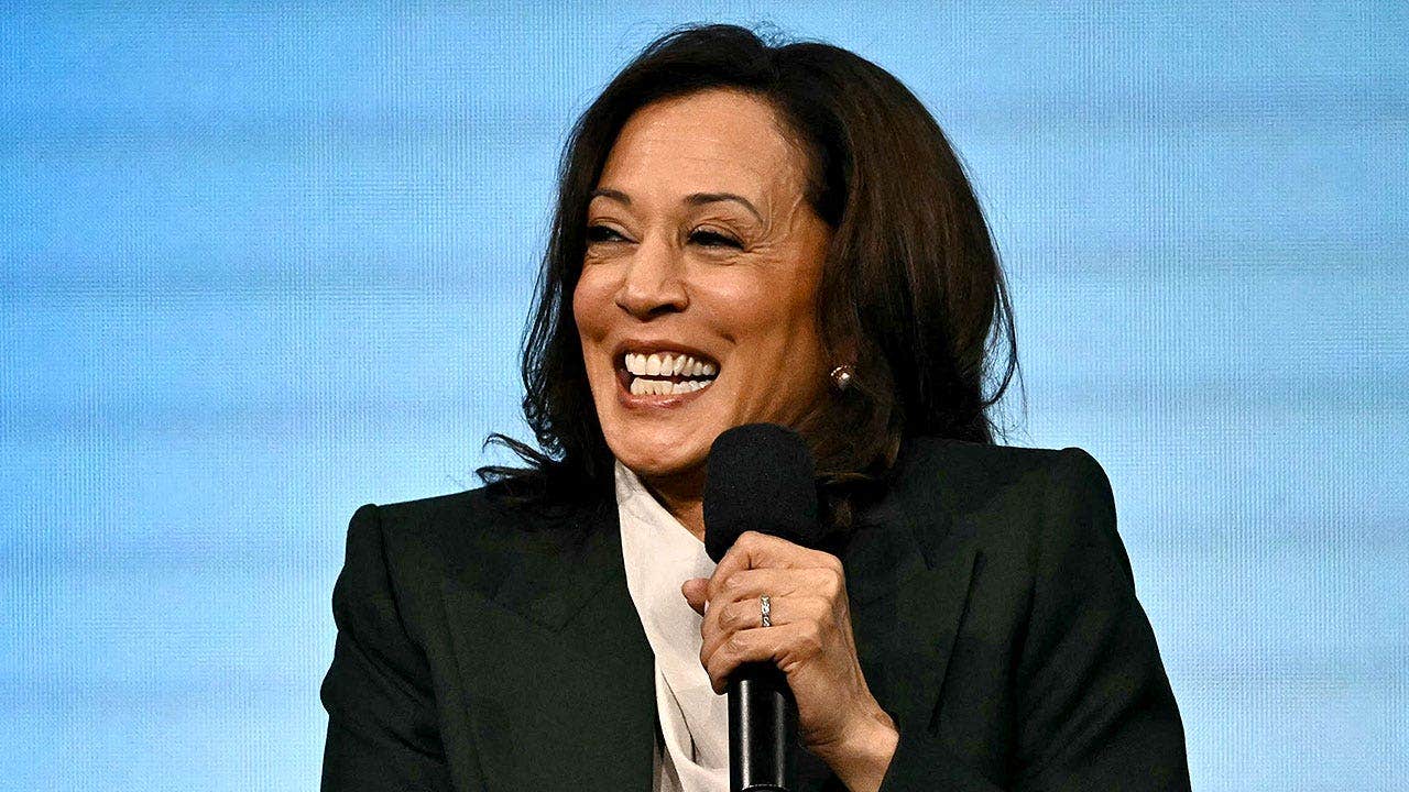 Former DNC fundraiser says major donors won’t back Kamala Harris again as party faces divisions