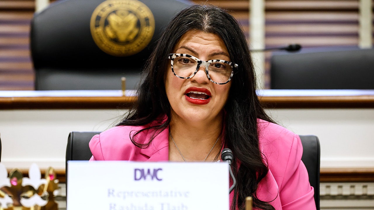 Tlaib under fire for working to unseat two Jewish House Democrats in Florida: ‘No coincidence’ Tlaib under fire for working to unseat two Jewish House Democrats in Florida: ‘No coincidence’