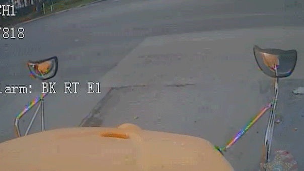 Florida driver fleeing traffic stop slams head-on into school bus carrying 19 children before fleeing on foot