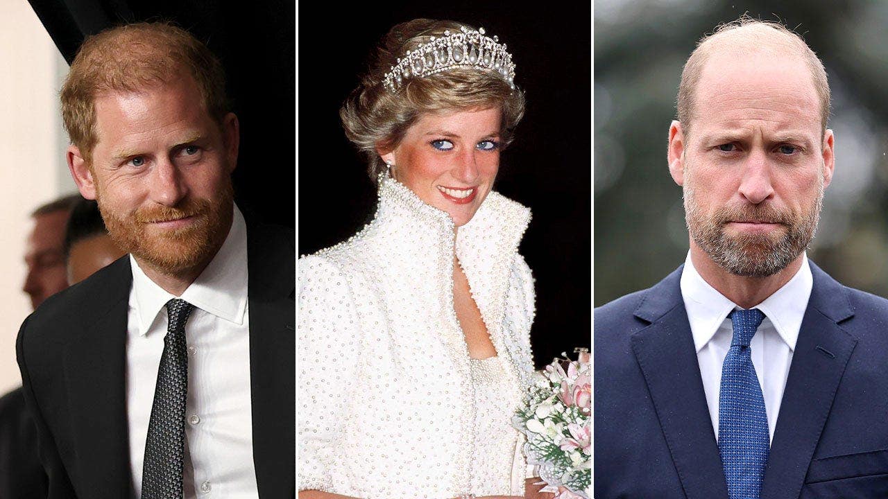 Prince Harry’s rumored Diana film ‘might feel like another betrayal’ to William