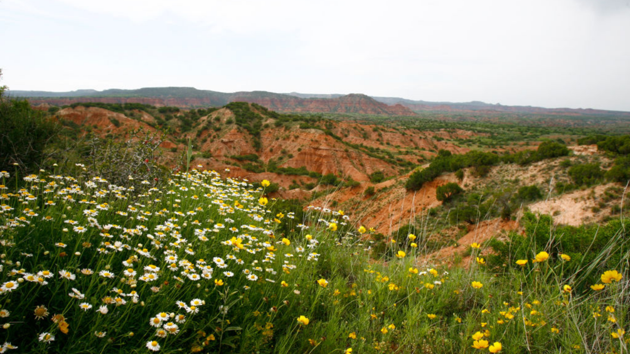 Best hikes to try around Lubbock ahead of Texas Tech's week one matchup with Abilene Christian