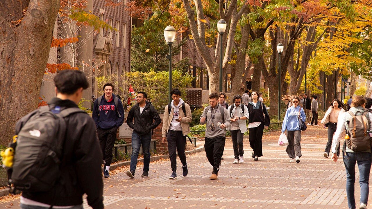 Ghost students exploiting FAFSA cost federal aid system  billion