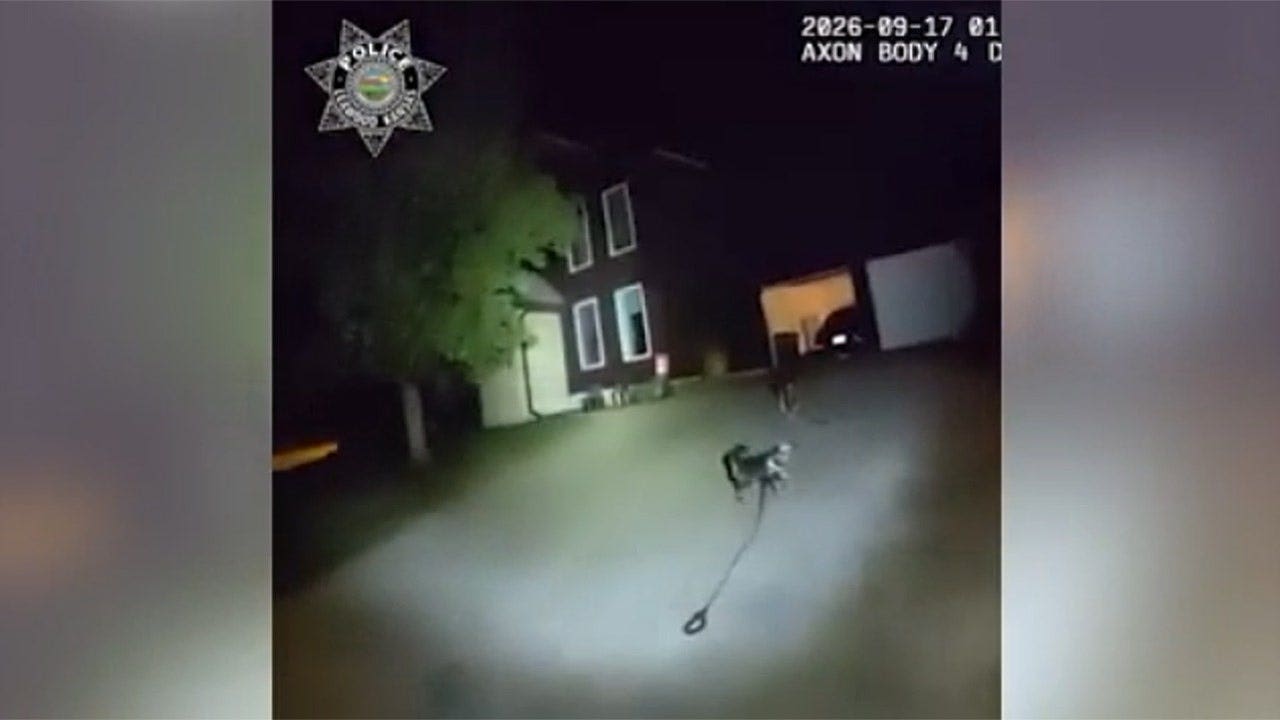 Dog praised as ‘loyal companion’ after leading police to owner who needed help
