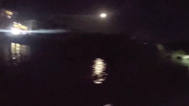 Un agente heroico rescata a un abuelo en silla de ruedas que se había caído a un canal lleno de tiburones