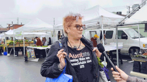 Liberal haven festival-goers weigh government seizure of their homes: 'I'd be so game'