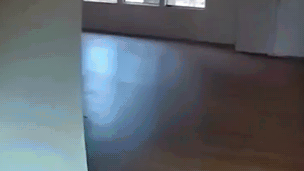 Copper theft suspect's daring escape caught on bodycam video before deputies discover what he left behind